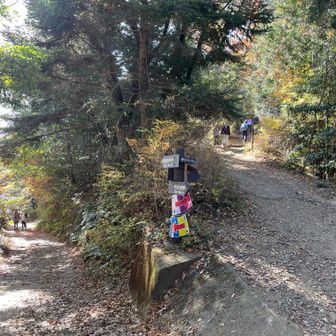 分岐
トレラン大会の為、案内ありました