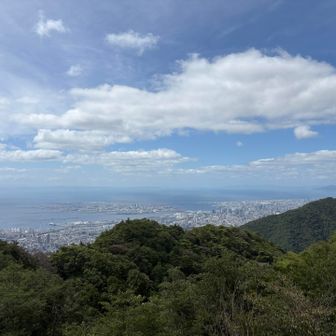 風が気持ちいい
