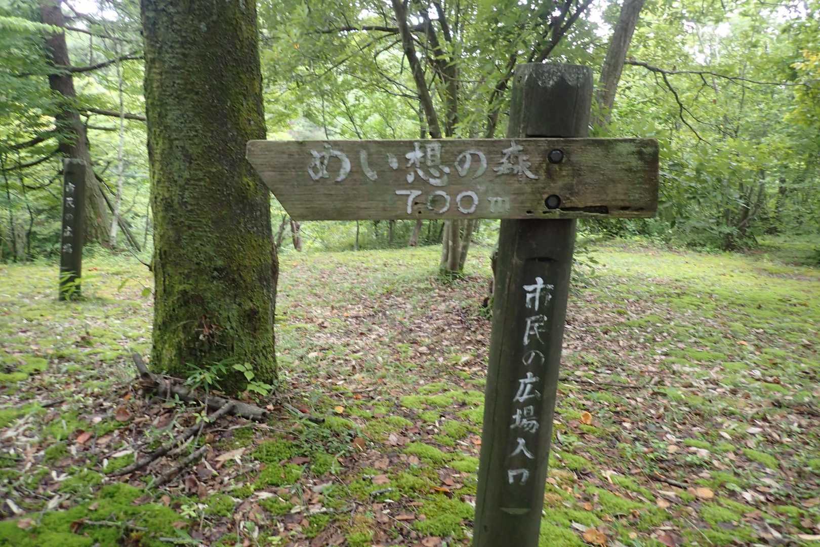 スピッている名称の森。蚊がフヨフヨ～
バグネット装着