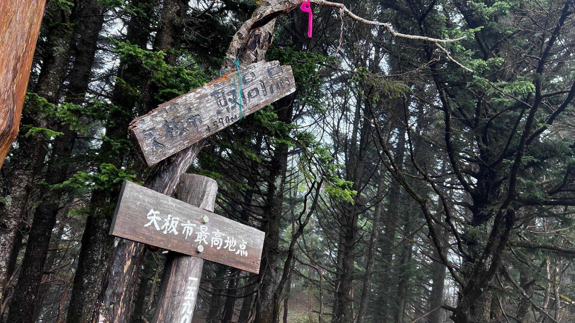 矢板市最高峰🏔️
でもピークじゃないんですね😢