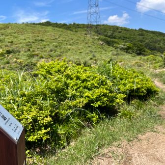 粟柄越に到着。右は赤坂山、この道(左)を行けば寒風と大谷山へ。