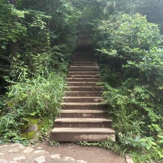 5号路に合流。いよいよ最後の階段地獄😰