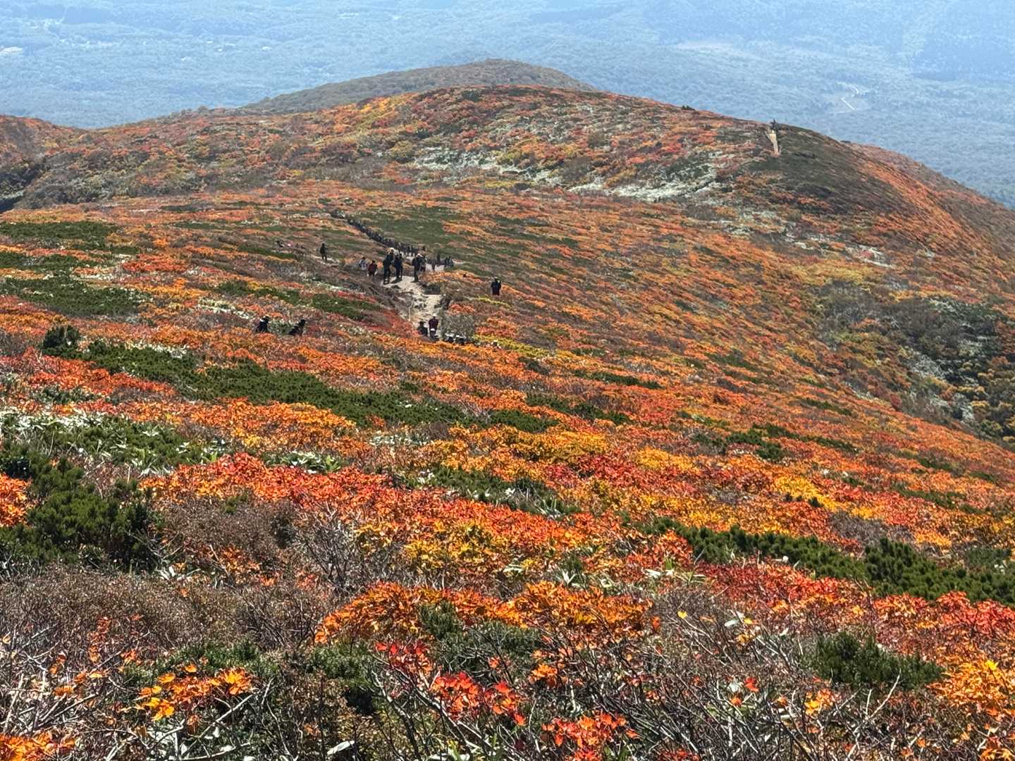 東栗駒-栗駒山-中央 周回コースの写真