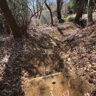 木段が出てきました