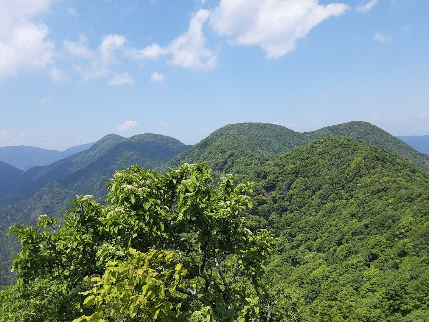 振り替えれば歩いてきた稜線
