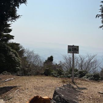白猪山🐗霞んでいて景色がイマイチ