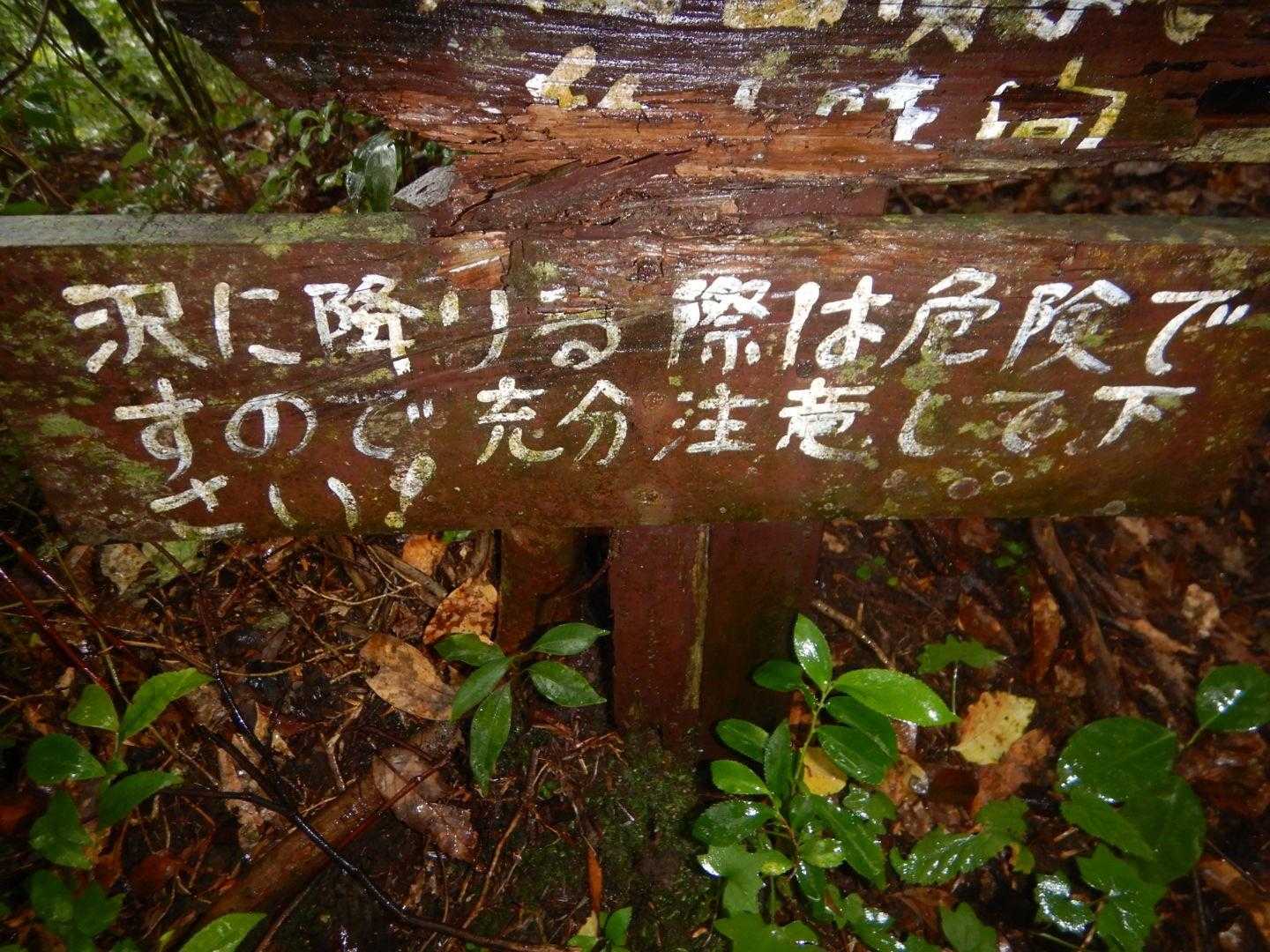 谷コースの沢の水量が心配😥
ムリだった時は、またここを登り返す覚悟でこちらから😅
初めてのメンバーもいるから、なるべくなら周回にしたい。