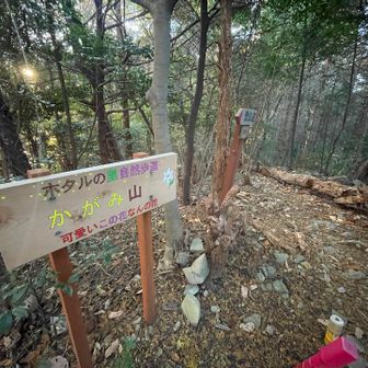 とりあえず全てのピーク撮影