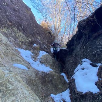 どうやって進むのかと思ったら道ありました