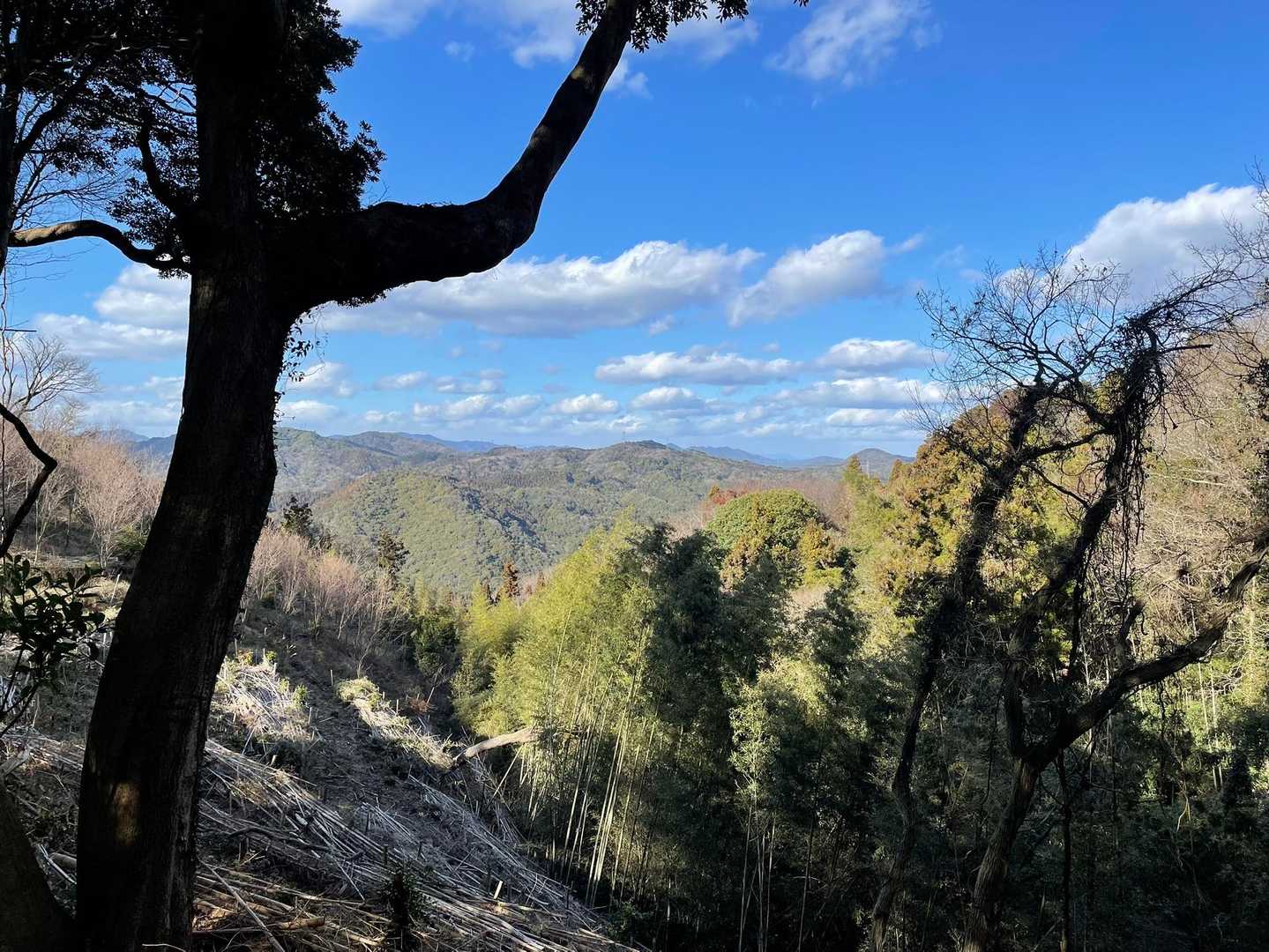 登りでは見なかった景色🤩