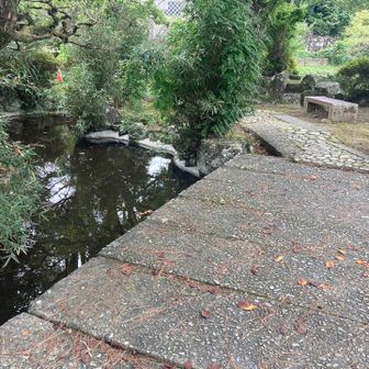 庭園

池には金魚