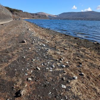水位が下がって湖畔を歩くことが出来るので、歩道から湖畔に降りて歩く🚶
