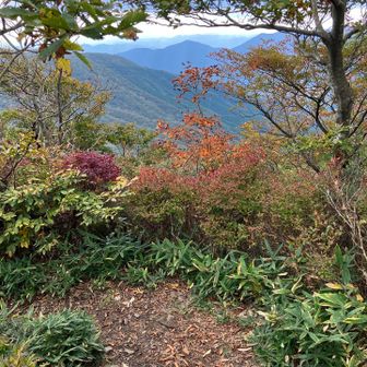 山頂景色はとくになく