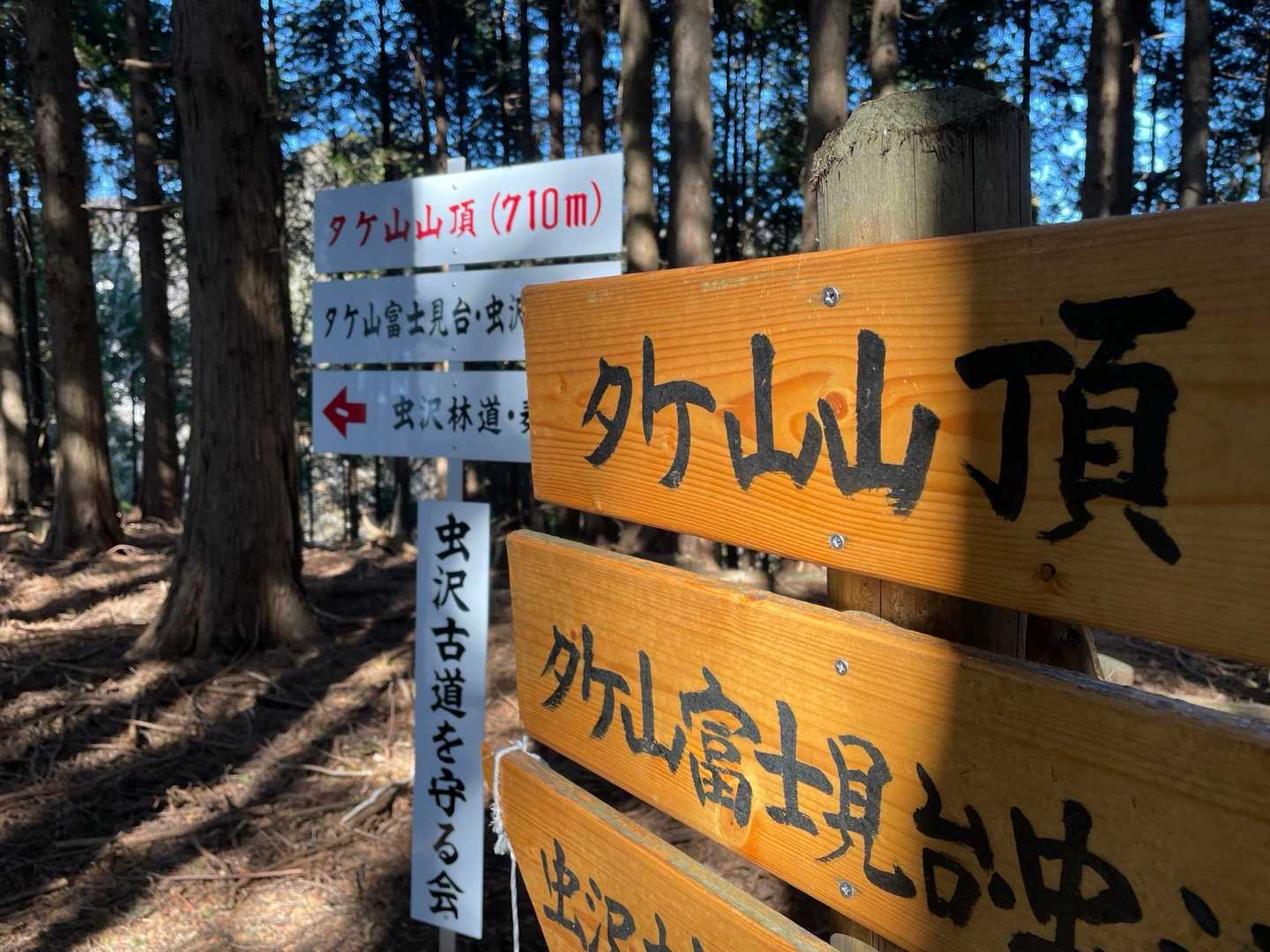 田代向バス停-タケ山-ダルマ沢ノ頭-シダンゴ山-寄バス停 縦走コースの写真