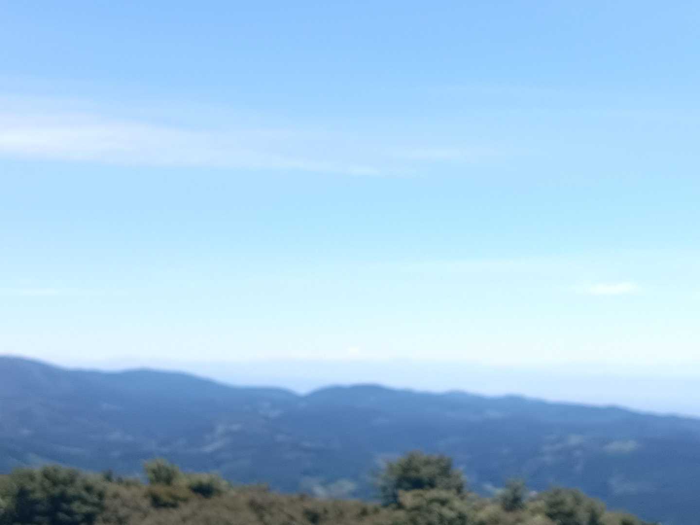 水無登山口-井原山 往復コースの写真