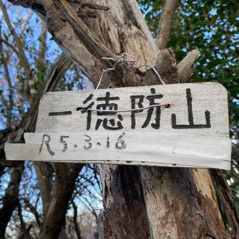 もうこの辺から、バスの時間が気になりだす