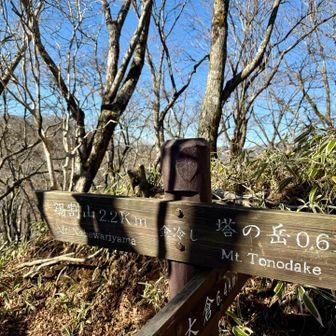 金冷し。着いた瞬間、鍋割山方面から冷たい風が吹いてきたので、すごく寒いってのが名前の由来なのかもしれないし、違うかもしれない。
