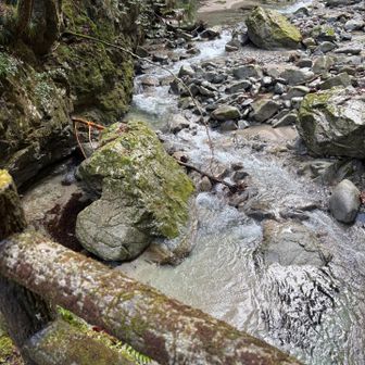 キレイな水が流れる蒼社川を渡る