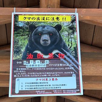 🐻🧸🐻🧸🐻このポスターが独占中！😱

⚠️油断禁物‼️との事ですが…