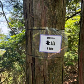 北山に到着