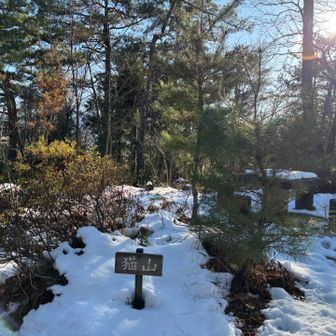 5座目は猫山🙌