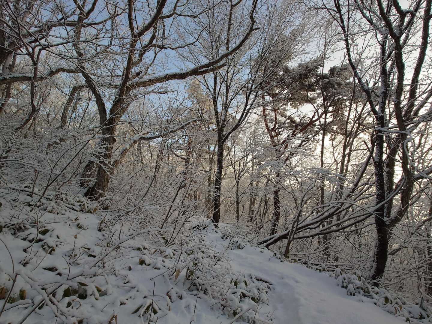 おや？
何か青空が見えてる。