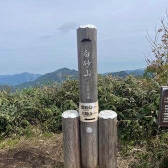 到着