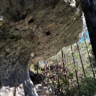 圧倒されますね。