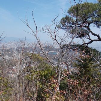 甲山方向の展望はイマイチ。