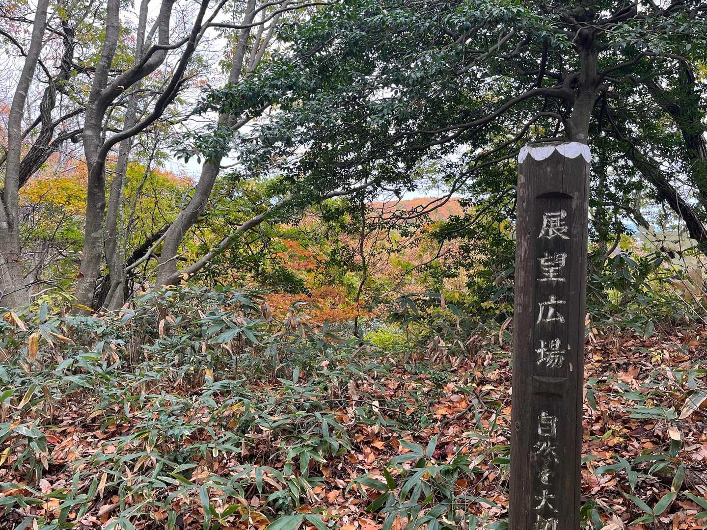 ③