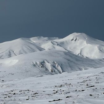 なかなか近づかない