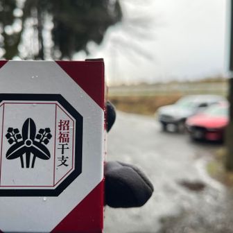 今年もゲットできました😆

お、車が1台増えてる😳