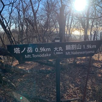 ついでだから、鍋割山目指すことに