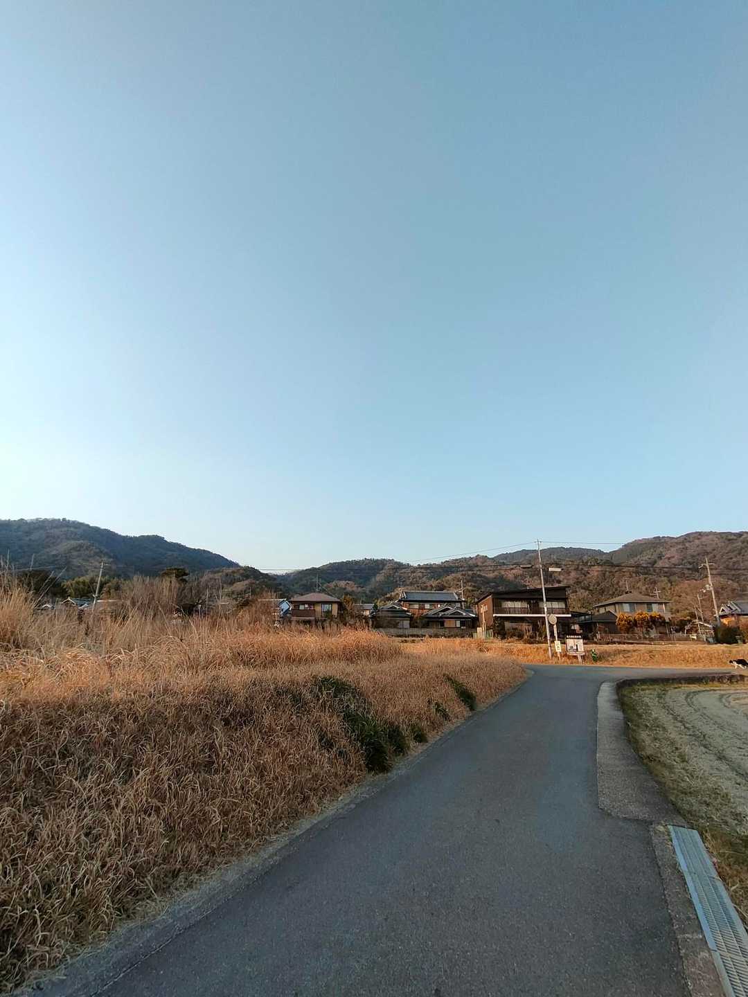 三上山 往復コースの写真