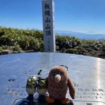 飯綱山に戻って、山頂でパチリ
今日はひとりなのにカエルくんふたり？
なんとこの時タカオのザックがないことに
今気がついた！
どこで落とした？
ごめんタカオ🙏