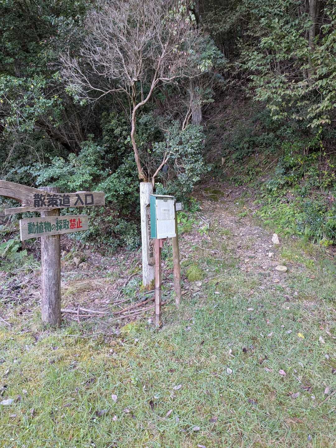 登山口前の電気柵を係の方が開けてくれた🙏
朝早いと電気通っているらしい⚡