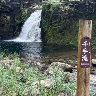 おぉ〜🤩