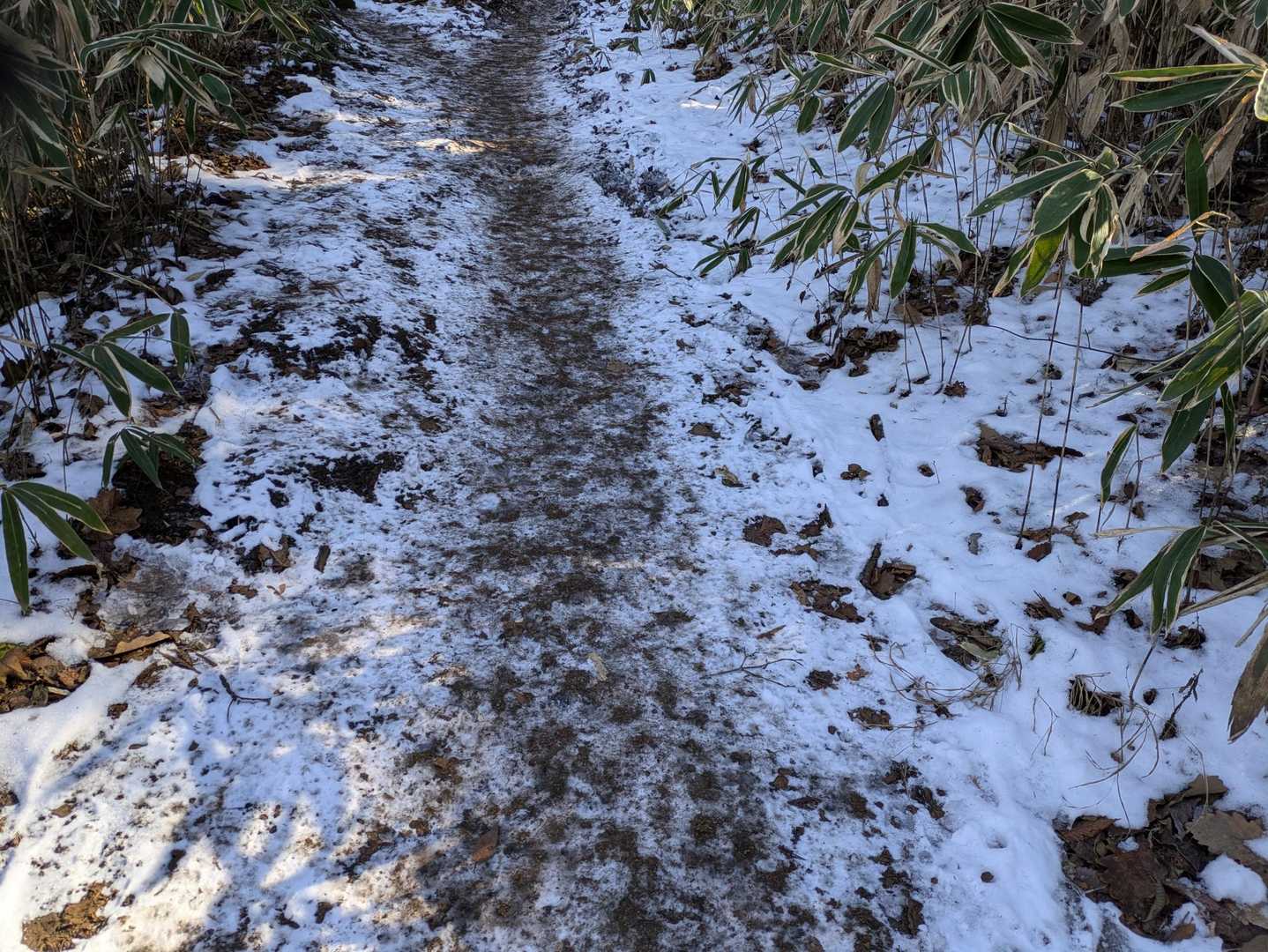雪の残ってる所は、泥んこぐちゃぐちゃだと思って陣馬山からスパッツ付けたけど、ぐちゃぐちゃじゃなくてカチカチ