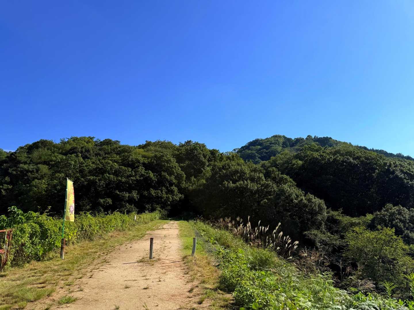 交野山への道を進みます