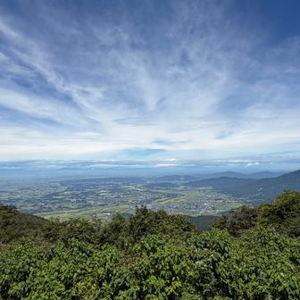 お天気が良くて気持ちいい〜👍