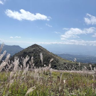 少し秋を感じた飯盛山⛰️

若い頃だったら一人で山へ行って、一人でお弁当食べて、一人でお酒を飲みながら電車を待つなんて惨めとしか感じなかったと思うのに、今は誰にも気を使うことなく自分がやりたいことを自分がやりたいように決められる時間がとても贅沢で心地いい😊

途中から気分が良くなってススキとハイタッチしながら歩きました🎶

そんな私ももうすぐ50歳😆💦
そろそろ落ち着こう。