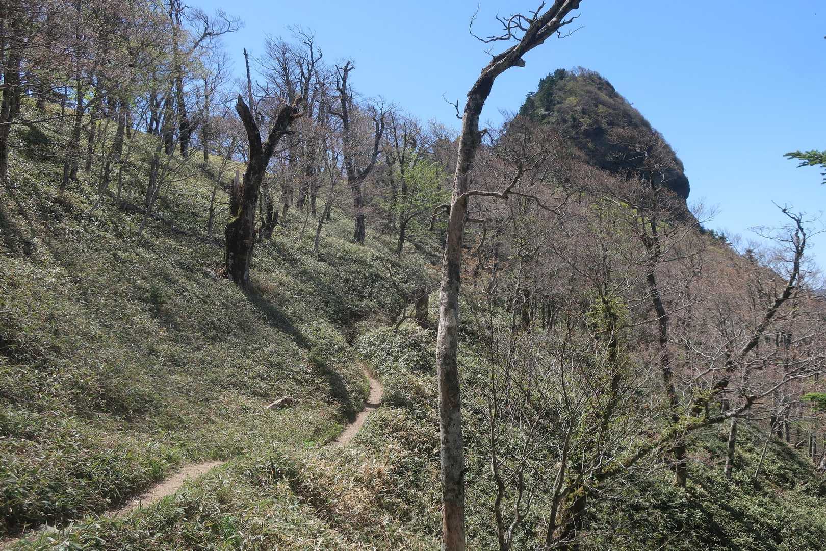 異様な尖り方の大日山