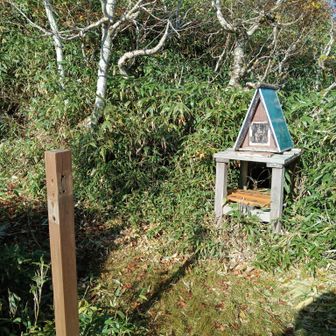 登山ポストのあるカルルス山分岐😗

左の柱にはかつて3つの矢印が付いており、奥は「カルルス山」、左が「来馬岳」、右が「オロフレ峠」をそれぞれ指し示していたようだが…🤔
