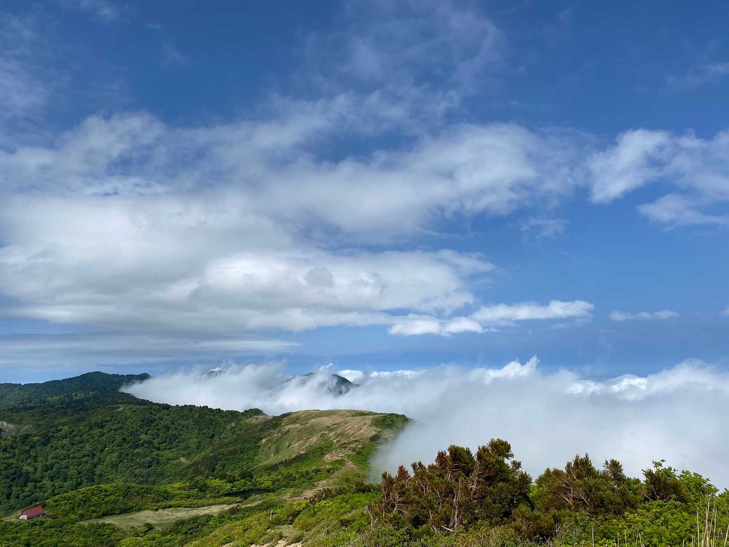 尻立山-論天山-芝尻山 往復コースの写真
