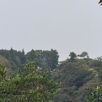 　永禄5年(1562年)今度は毛利元就が出雲へ侵攻し武名ヶ平城に陣を構えた。赤穴久清は降伏開城し、以後毛利氏に従った。