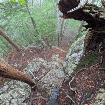 岩場の下部(1,462m)
※下部は手掛かり足掛かりが少なく滑りやすい。
