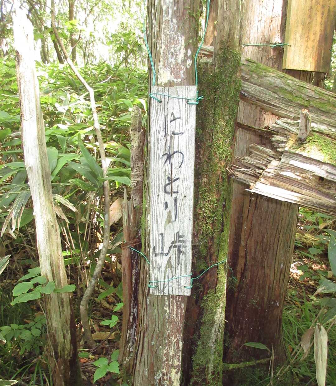 にわとり峠

昔はここを越えて湖南町中野に下る峠だったのですね。その道は今も地図には点線で記されているが現存はしていない模様。