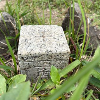 三角点
点名 : 若竹山
等級 : 四等三角点
標高 : 253.4m