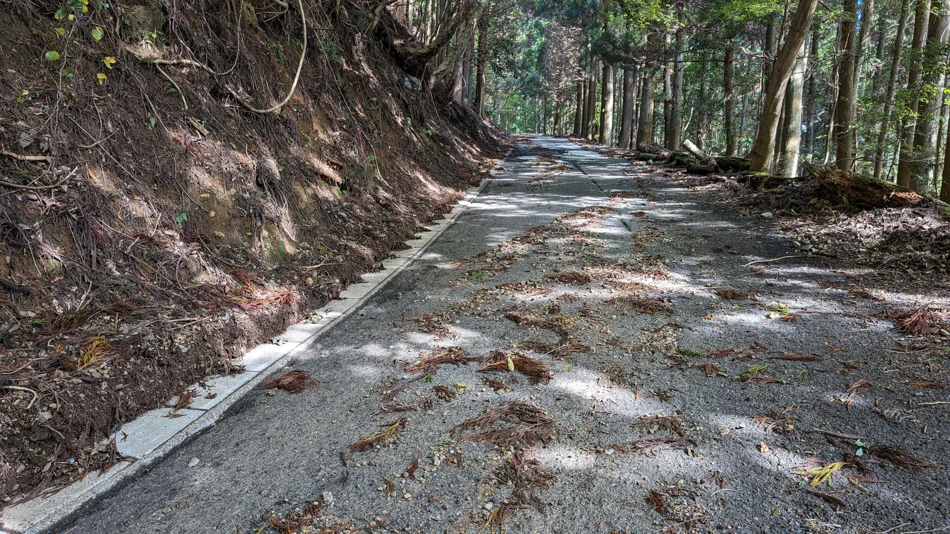 今回の目的は、前日の雨嵐で荒れたであろう車道を片付けに来た
小石はしょうがないにしても、ここの石は角があってパンクしやすい