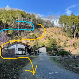 道を素直に下っていくと黄色い線のように降りてきて敷地内を通ってしまうので、青い矢印のように樹林を通って遠回りした方がより良いと思った。